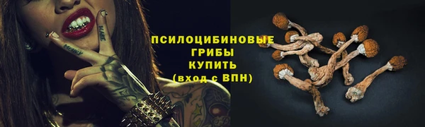 прущий лед Михайловск