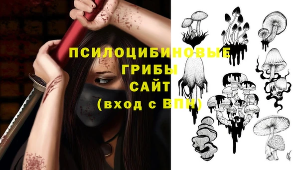 прущий лед Михайловск