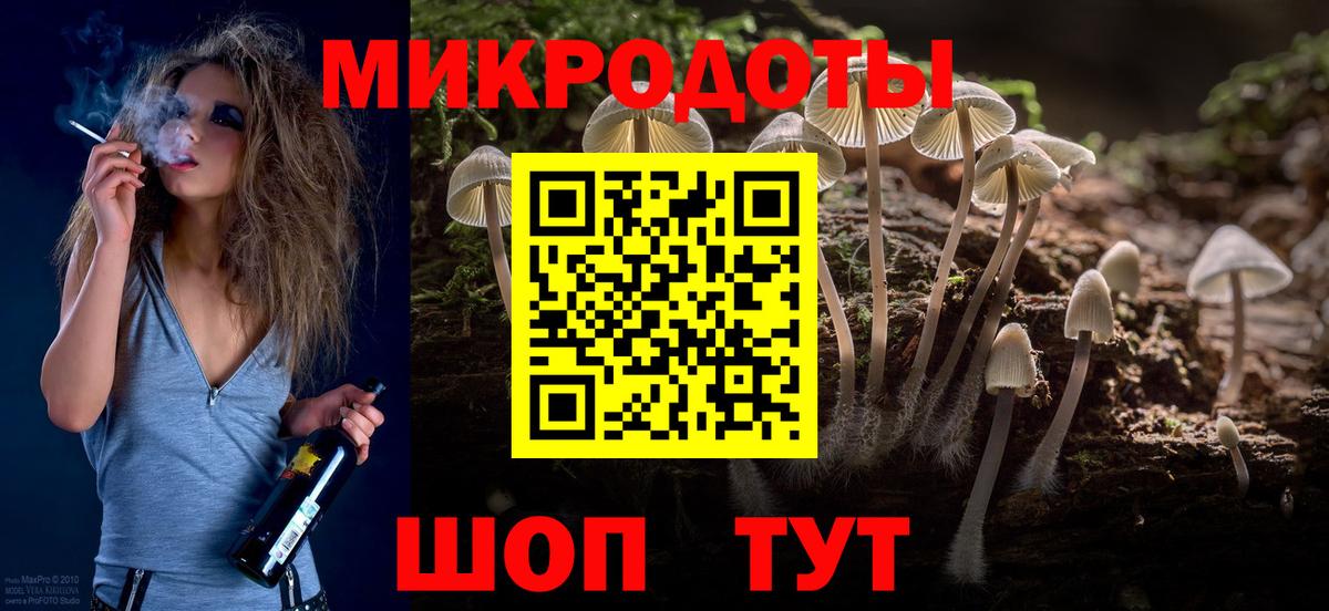 Геленджик  Галлюциногенные грибы Psilocybine cubensis  Вход с VPN 