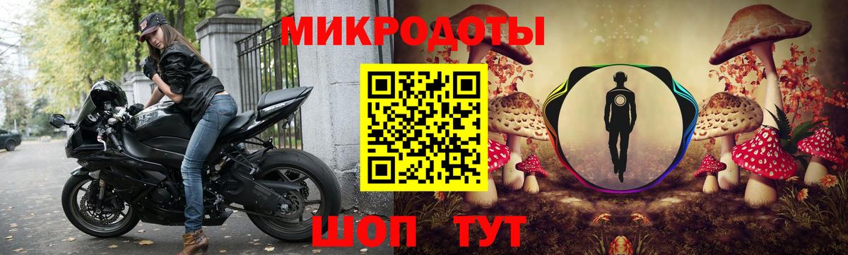 Псилоцибиновые грибы прущие грибы Геленджик